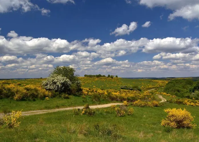Eifelreich Appartement *